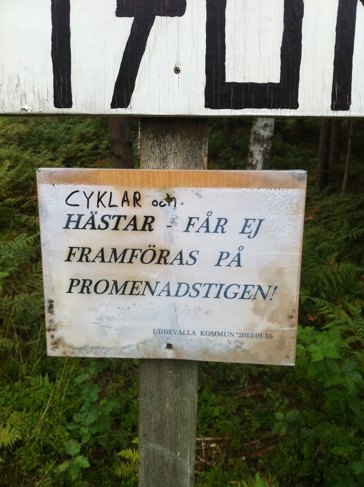 Kamera2011-2012182.jpg