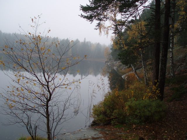 KanonMulligt.jpg ht=480