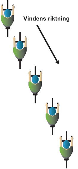 kantvind.png