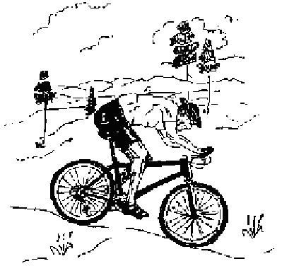 karolinertrampet.jpg ht=376