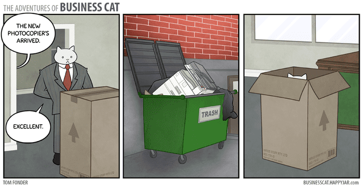 katt.jpg