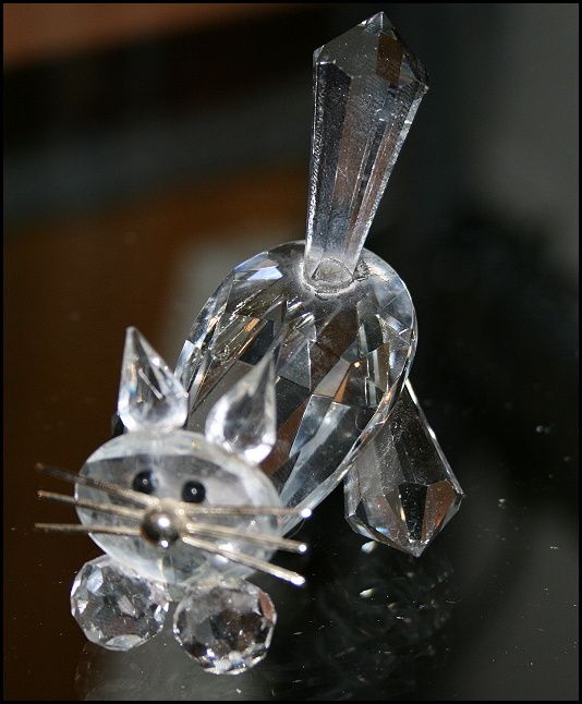 katt.JPG ht=646