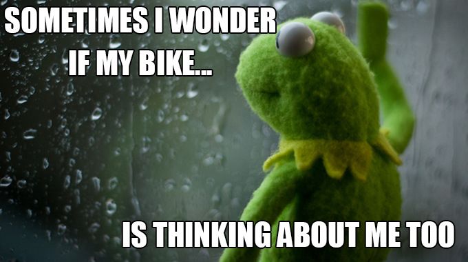 kermit-bike.jpg