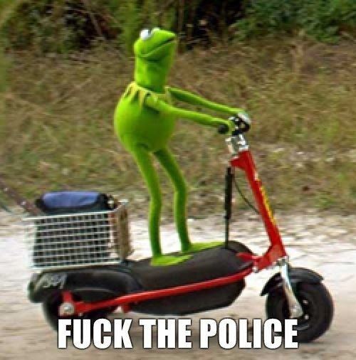 Kermit.+How+frogs+roll_09e15a_3483671.jpg