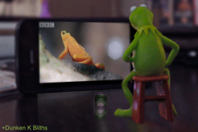 Kermit-Porn.gif
