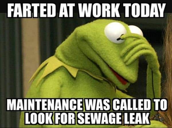 kermit-the-frog-farted-at-work-today-memes.jpg