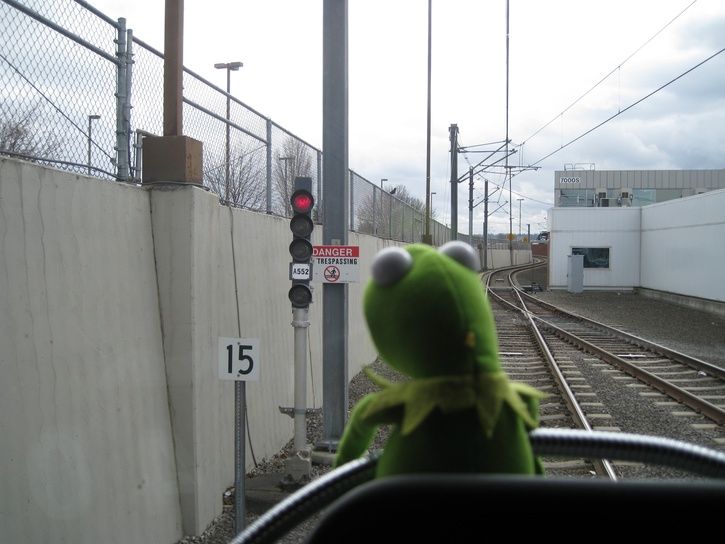 kermittrain.jpg