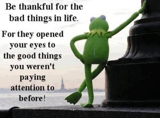 kermit_rules.jpg
