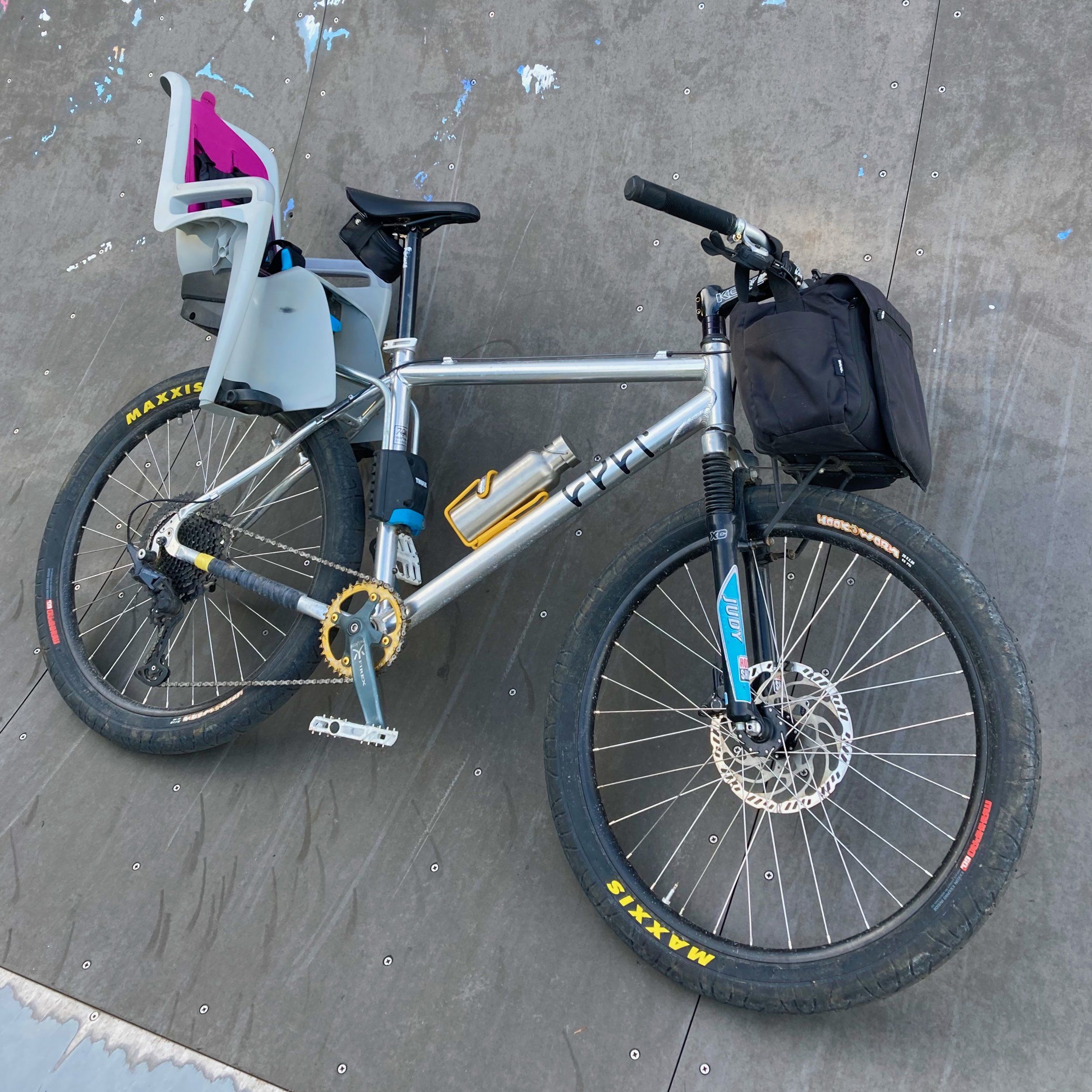 KidHaulerAtSkatepark-ThuleRideAlong.jpeg