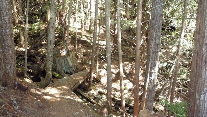 kill.me.thrill.me.jpg ht=409