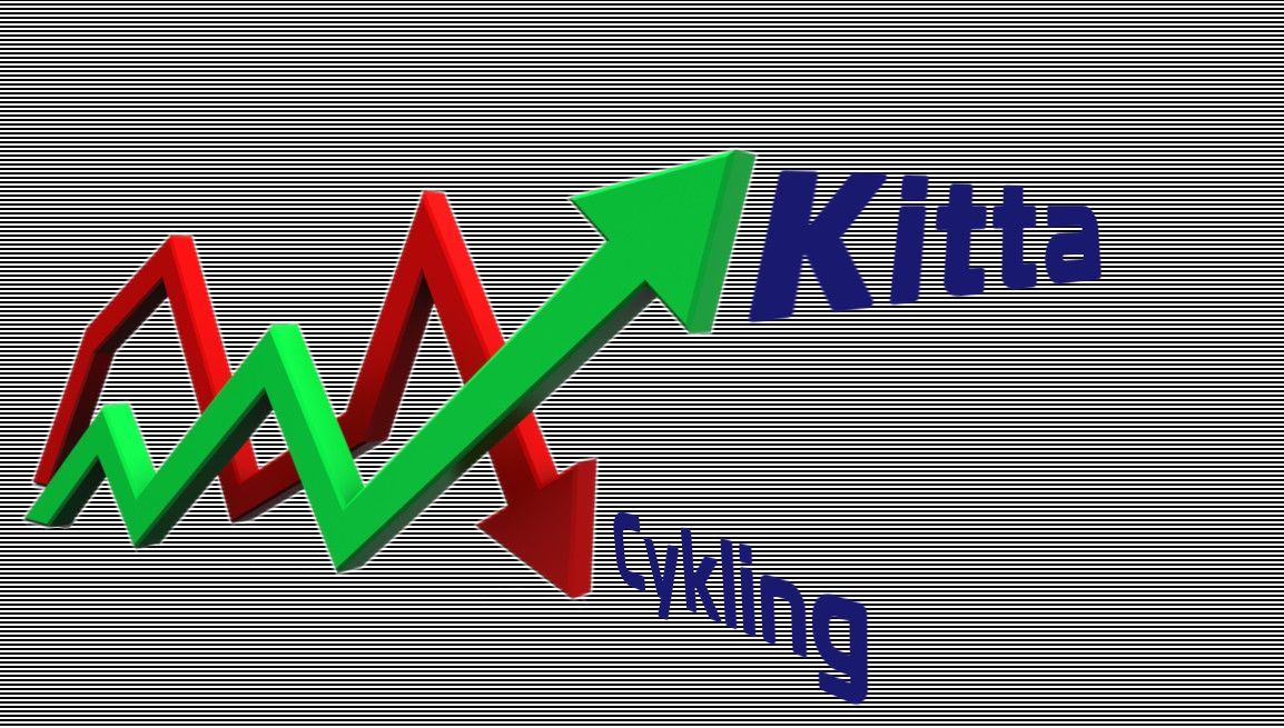 Kitta.jpeg