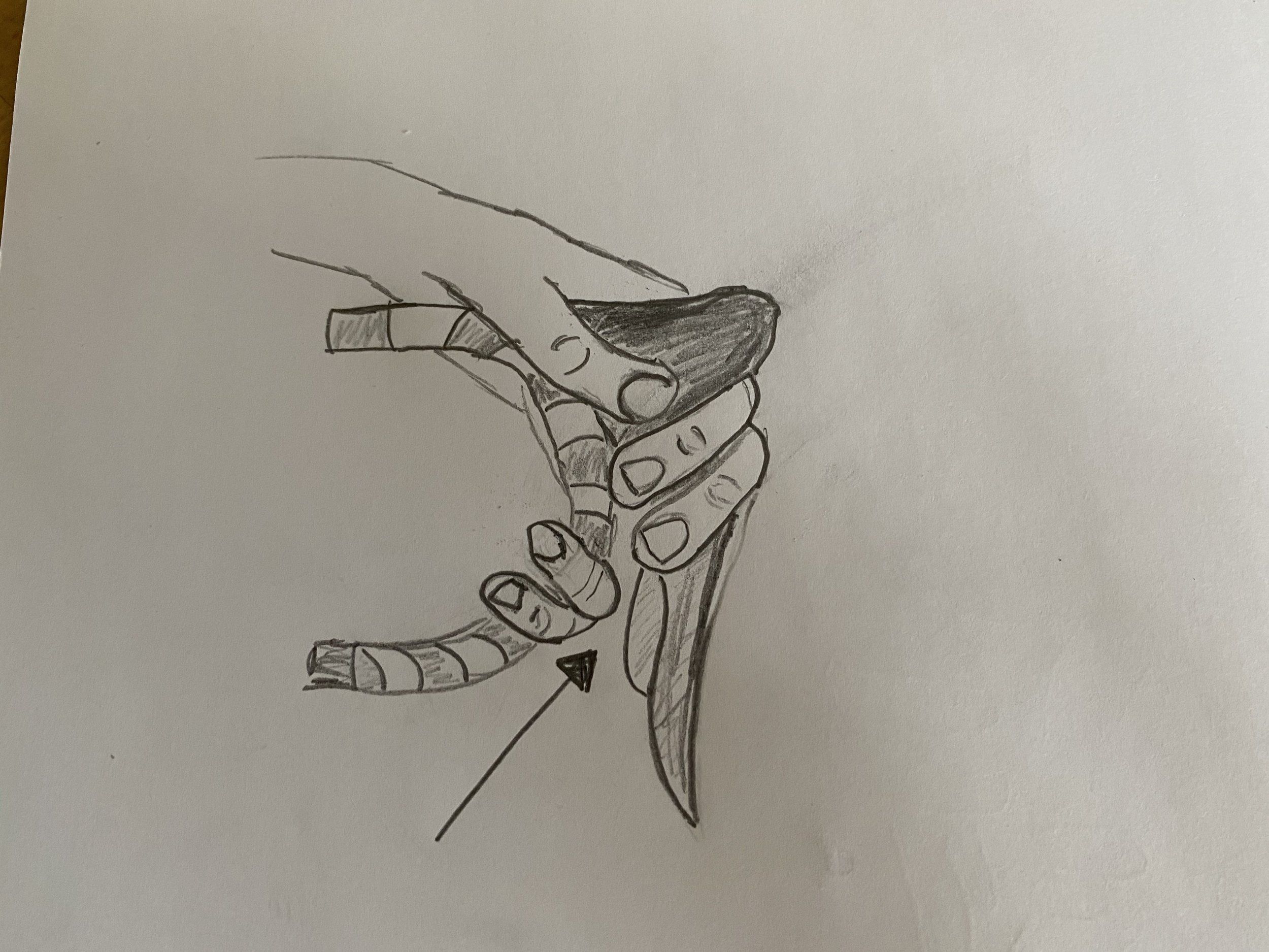 klamma_fingrar.jpg