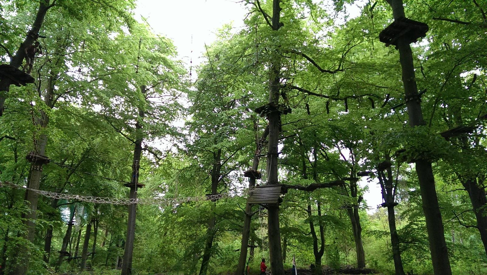 kltterskogen.jpg
