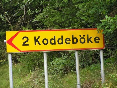 kodde.jpg