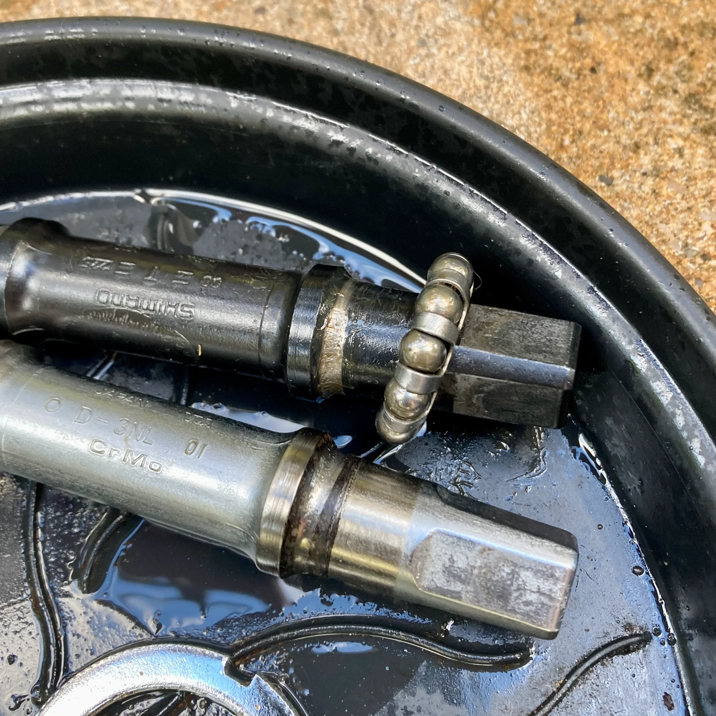 KogaMiyata-vevlager - 1 (1).webp