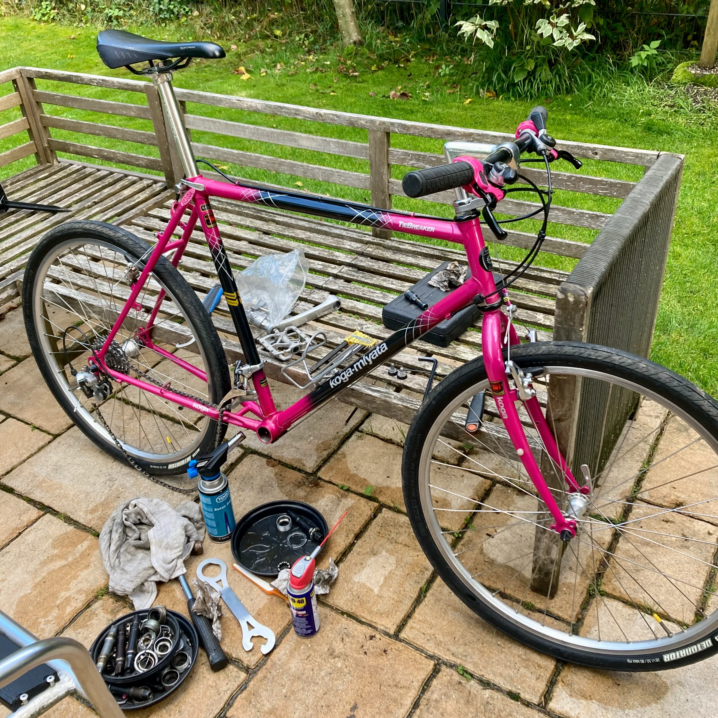 KogaMiyata-vevlager - 1.webp