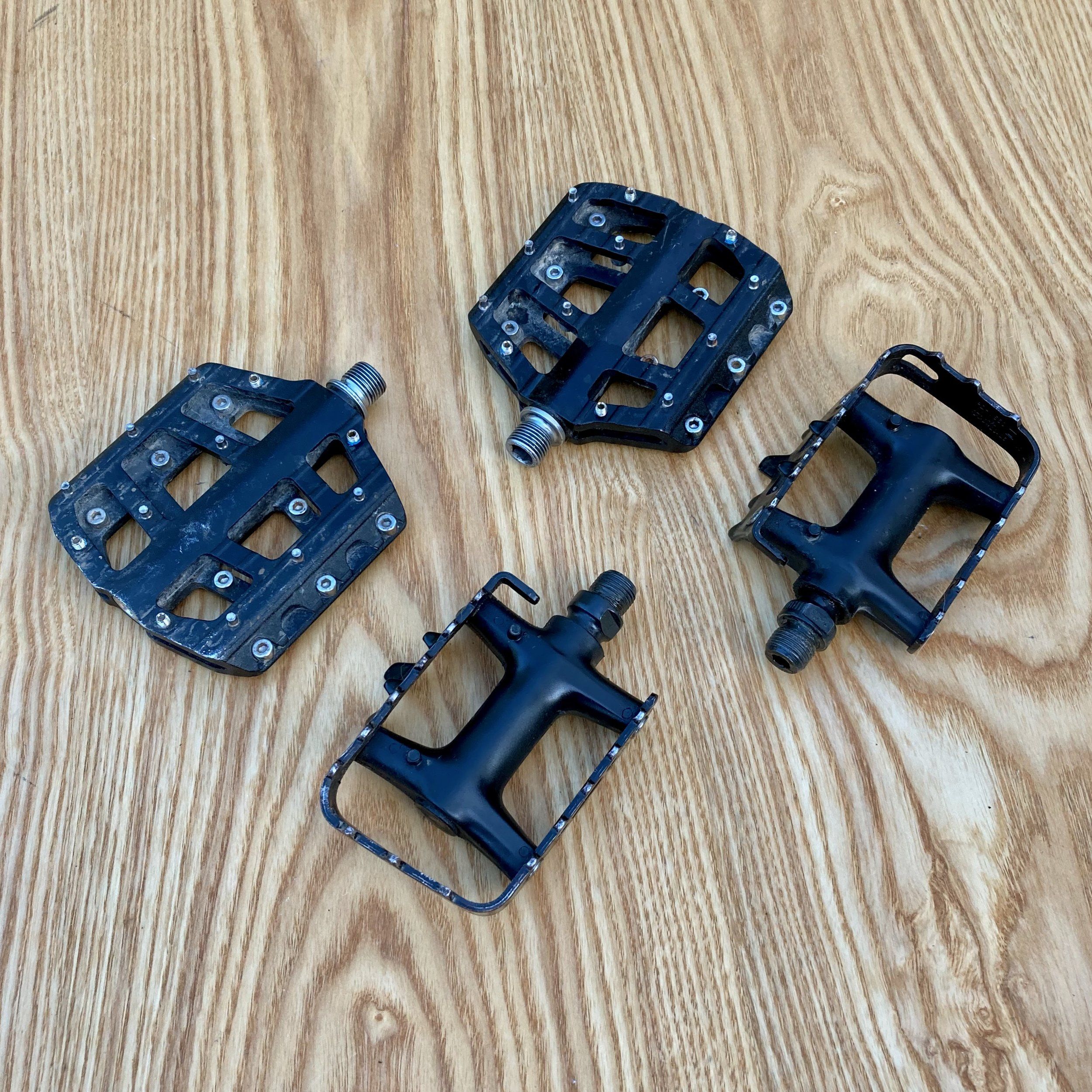 KogaMiyata-VP - 1.jpeg