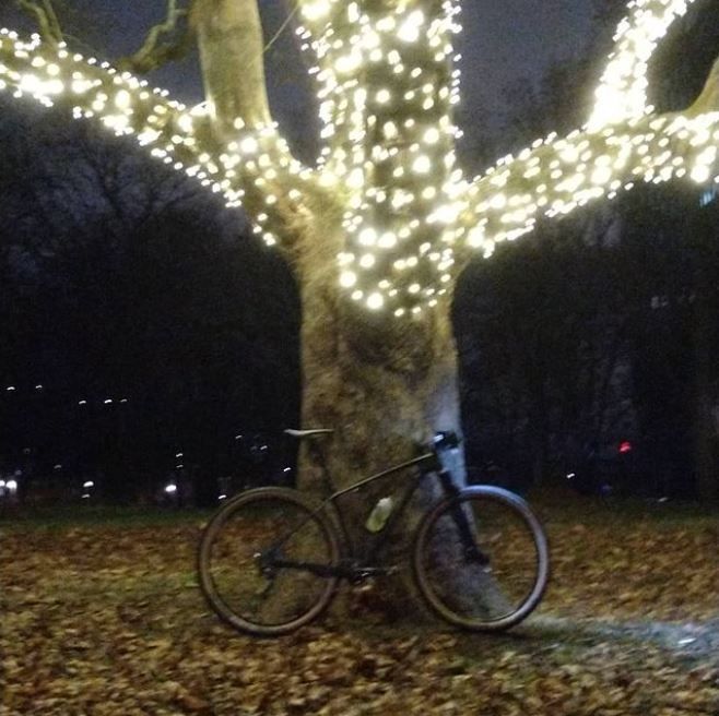 Kolerakyrkogården.JPG
