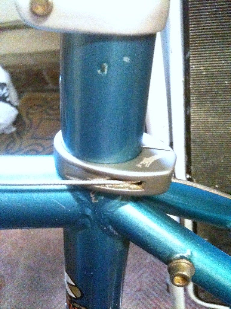 Kona Dog Collar.jpg