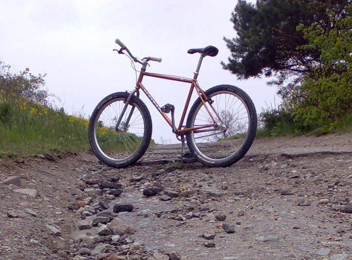 kona.jpg ht=537