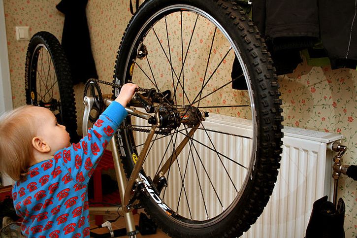 Kona-SS_02.jpg ht=483