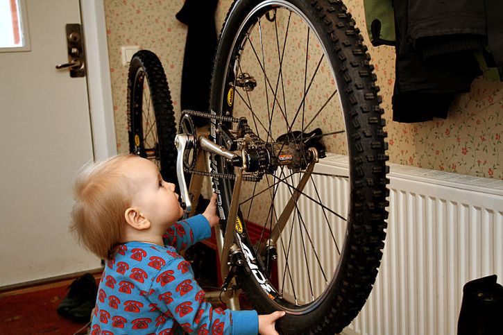 Kona-SS_03.jpg ht=483