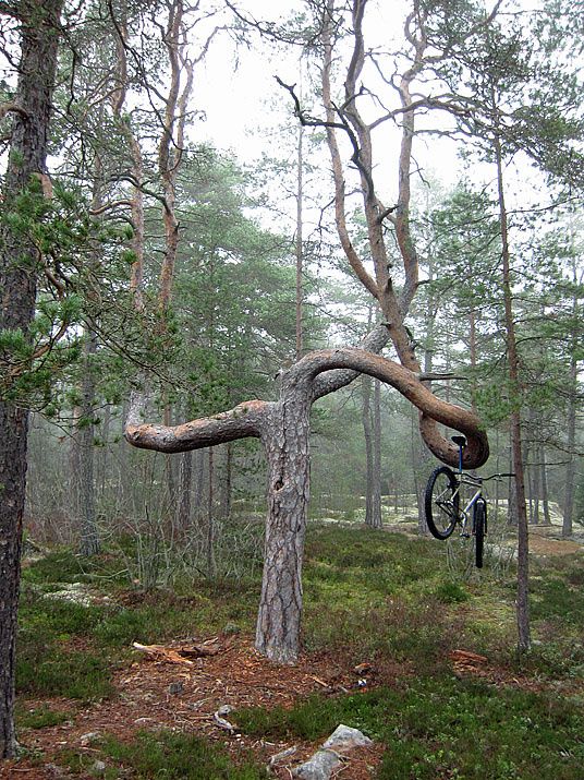 konatrdet2.jpg