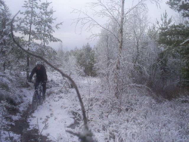 KopiaavS5031263.JPG ht=480