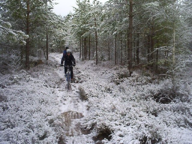 KopiaavS5031265.JPG ht=480