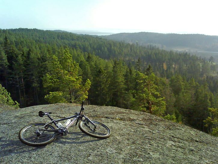 Korpklint3.JPG ht=544