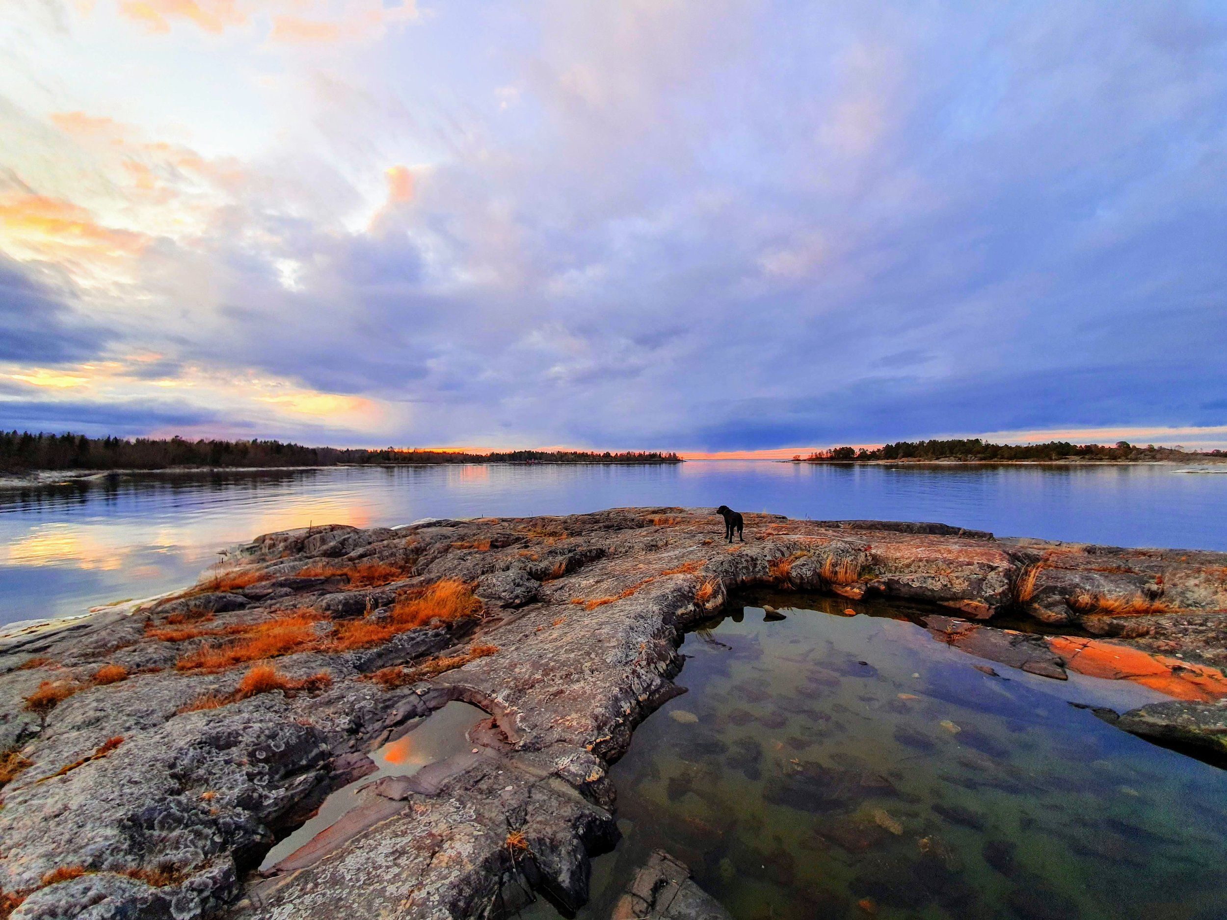 kvällskortis_20200425_201535.jpg