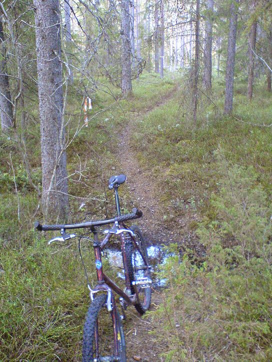 kvllstur01.jpg ht=725