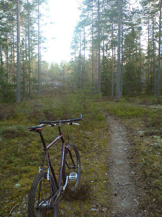 kvllstur02.jpg ht=725