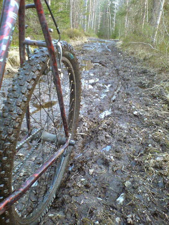 kvllstur07.jpg ht=725