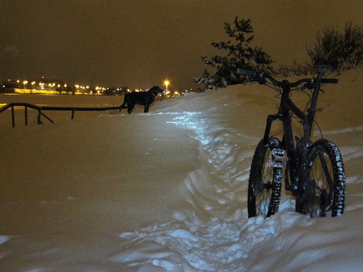 kvllstur1.JPG ht=544