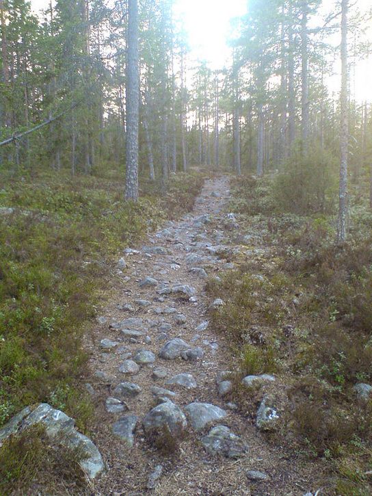 kvllstur14.jpg ht=725