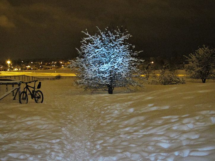 kvllstur4.JPG ht=544