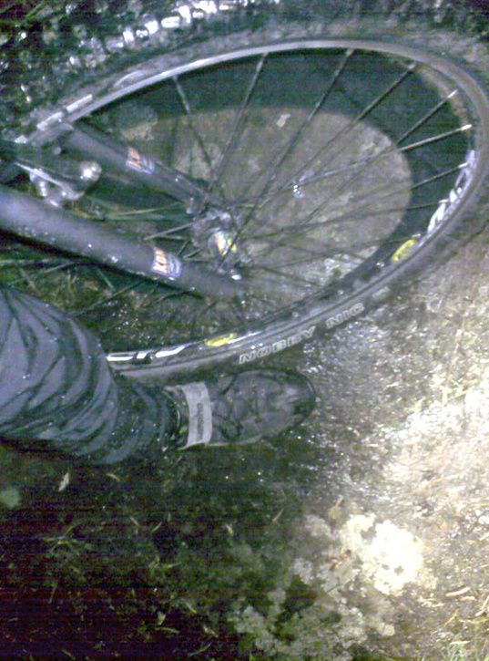 lamppremir_03.jpg ht=725