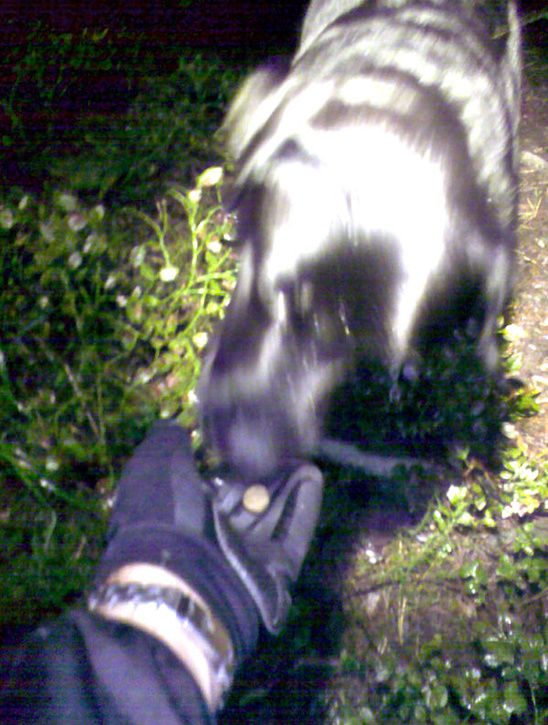 lamppremir_08.jpg ht=725