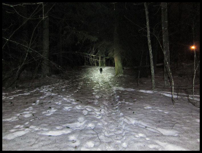 lamptest_12.jpg ht=536