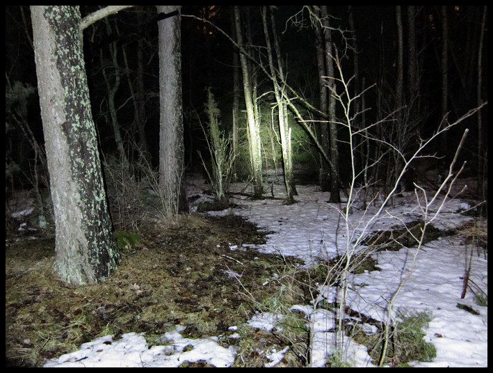 lamptest_16.jpg ht=536