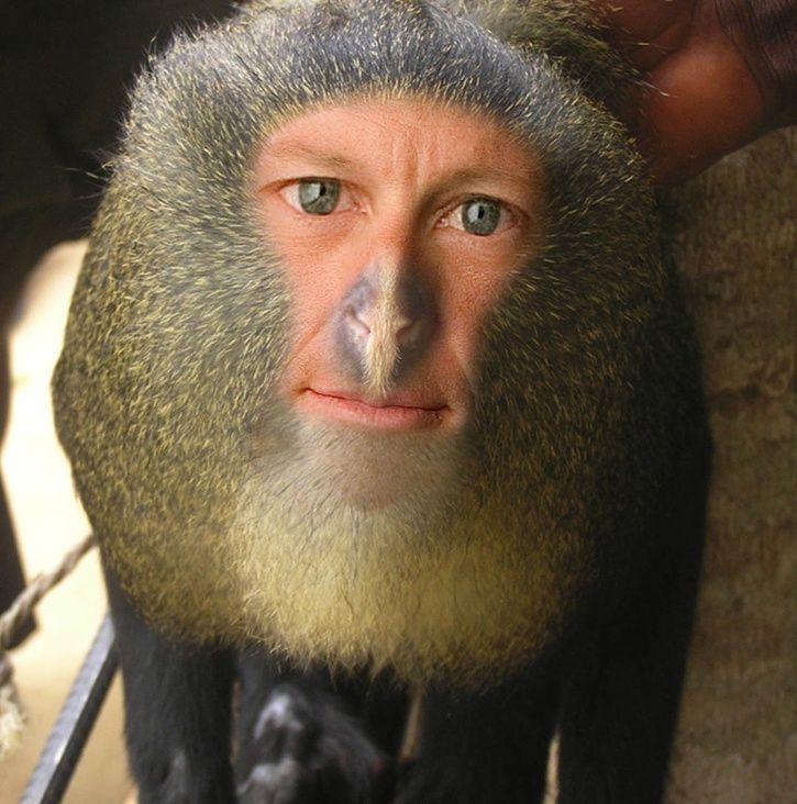 lanceapa.jpg
