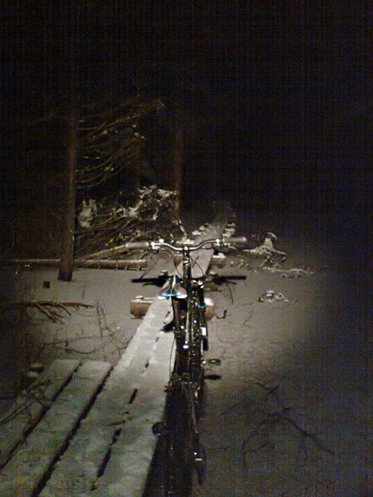 lÃngspÃngpaus.jpg ht=725