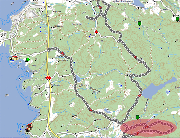 langtjarr-o-lanktornet-elli.gif
