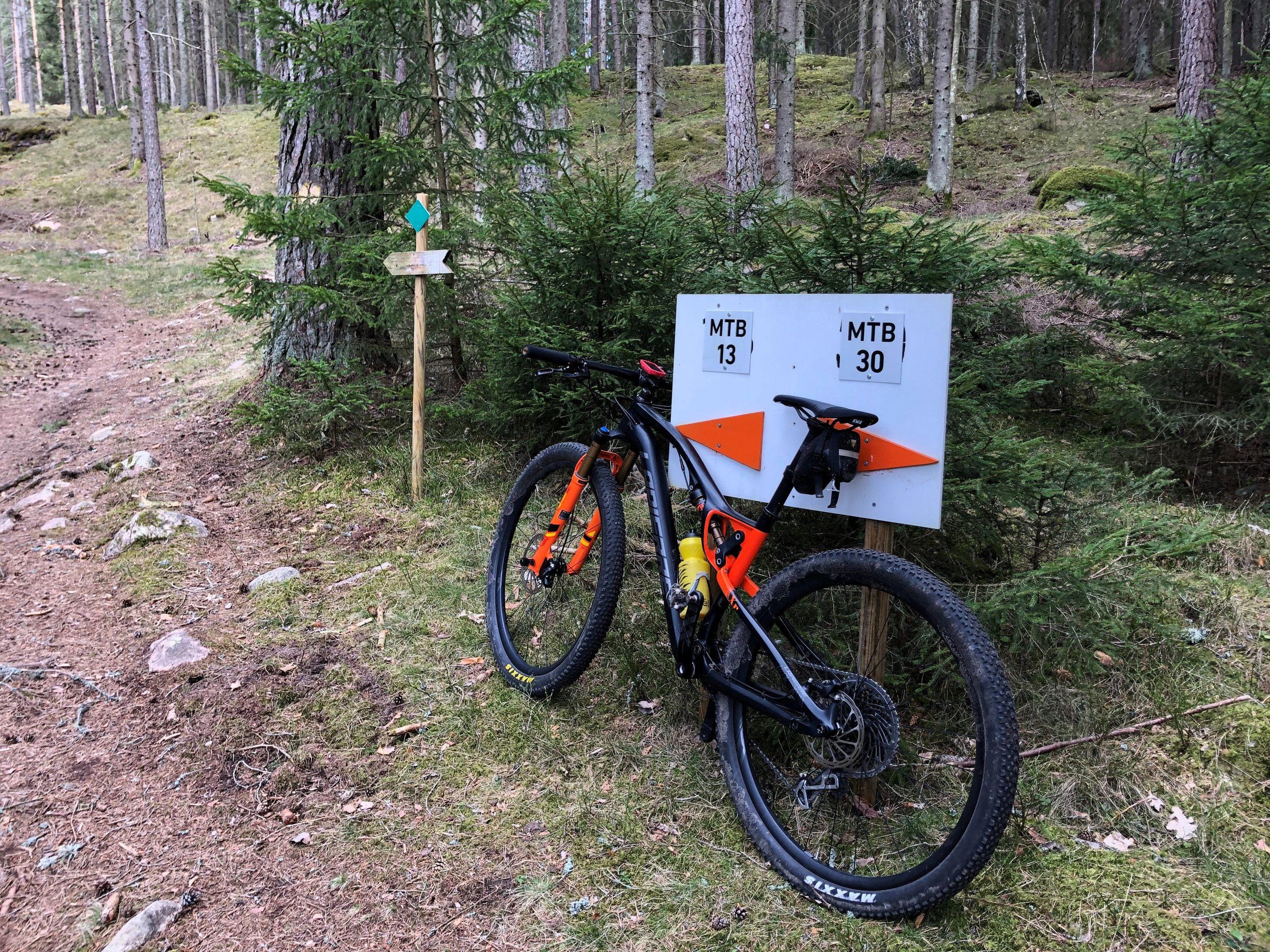 Lapierre XR 9.9-3.jpg