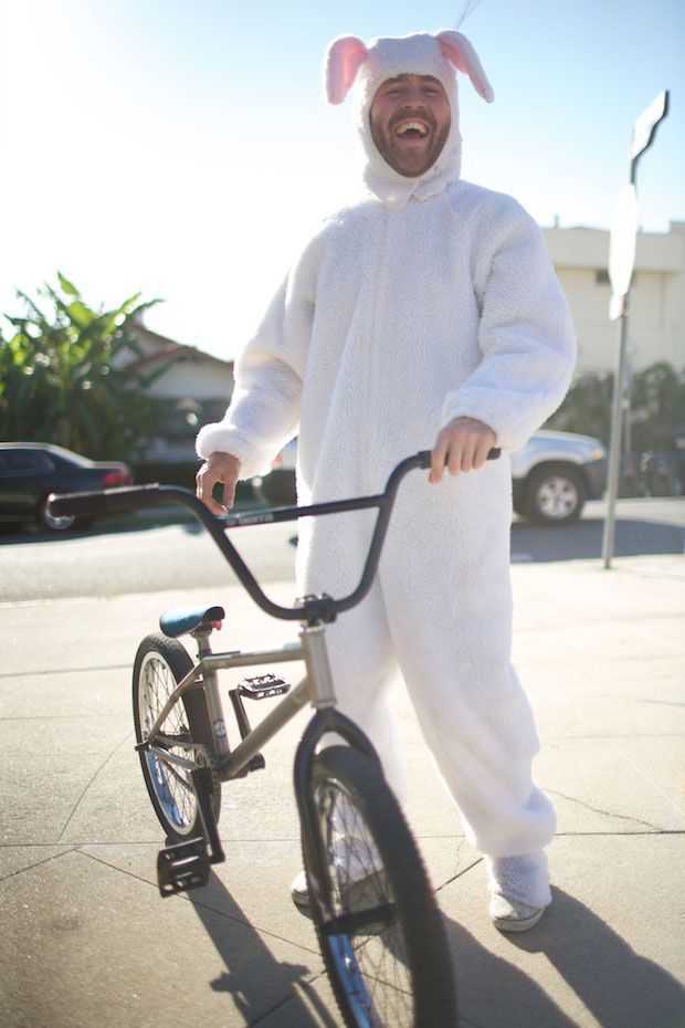 larabbit.jpg