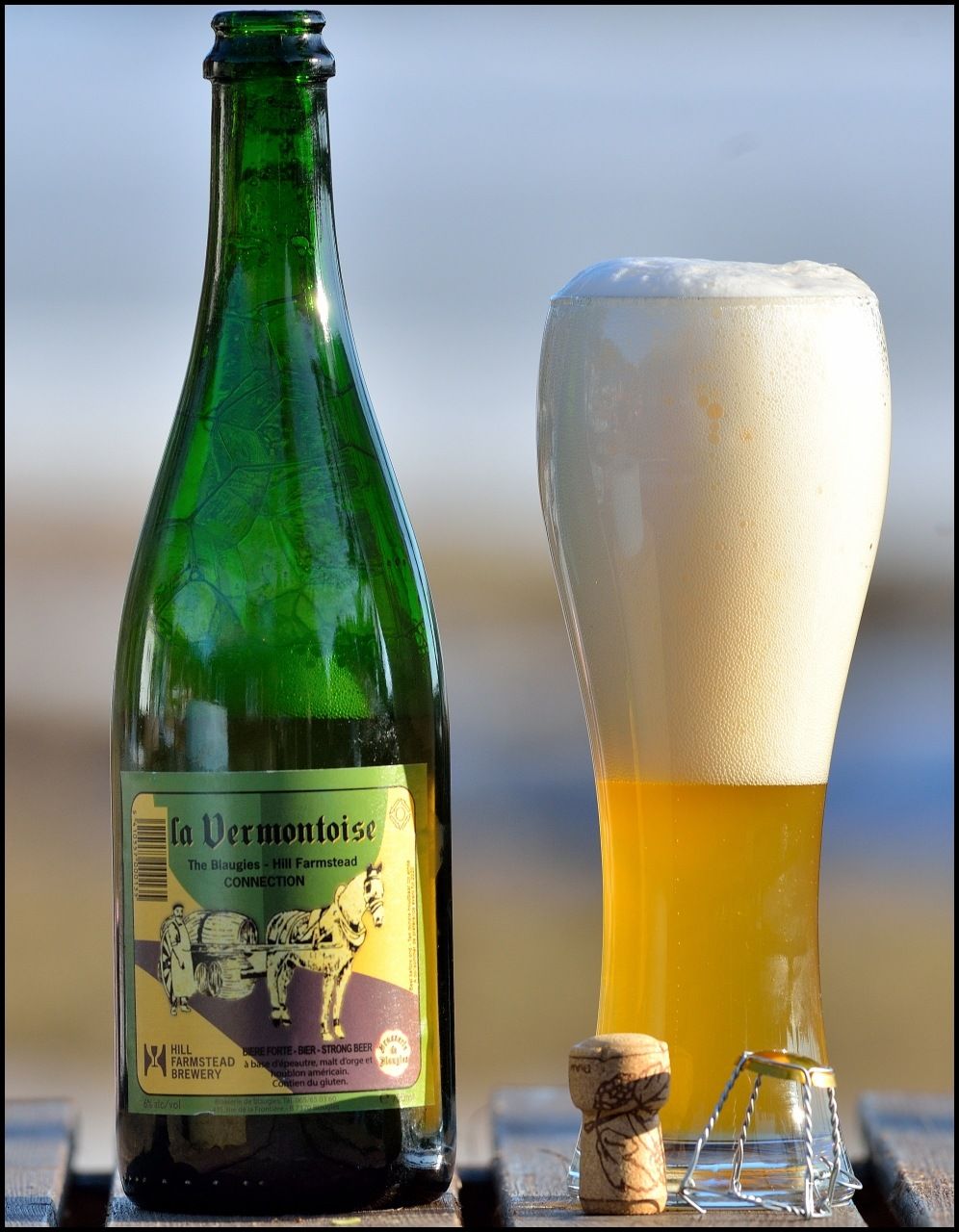 LaVermontoise17.jpg