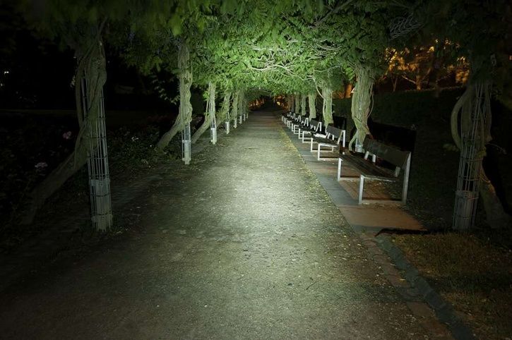 LB_Triple_XPG_R5.jpg ht=482