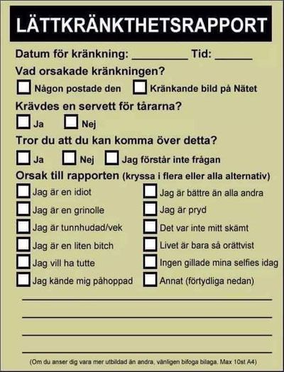 lc3a4ttkrc3a4nkthetsrapport.jpg