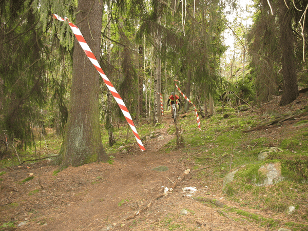 ledarenforstagangen.jpg_size600.png ht=450